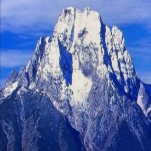 Meet your Posher, Damian